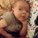 best-tubal-reversal-surgery-valdese-north-carolina